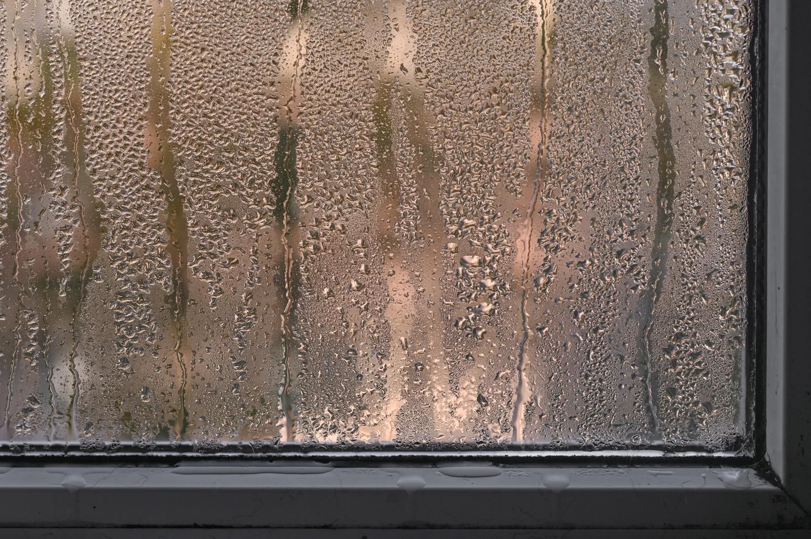 Windows Wet Glass Due To High Humidity | Gps Coordinates: 44.741207, 93.326588
