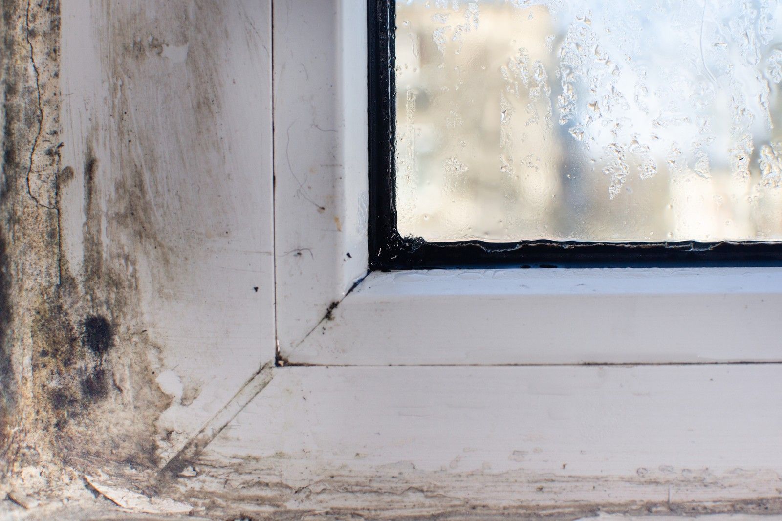 Mold Infestation On Plastic Window In Wet Conditions Resized