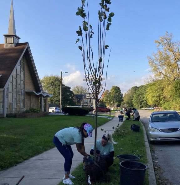 Community Members Planting Trees To Enhance Urban Greenery And Reduce Environmental Impact